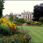 Clare College's Garden