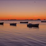 Clareando sobre el Mar Menor IV -- La calma --