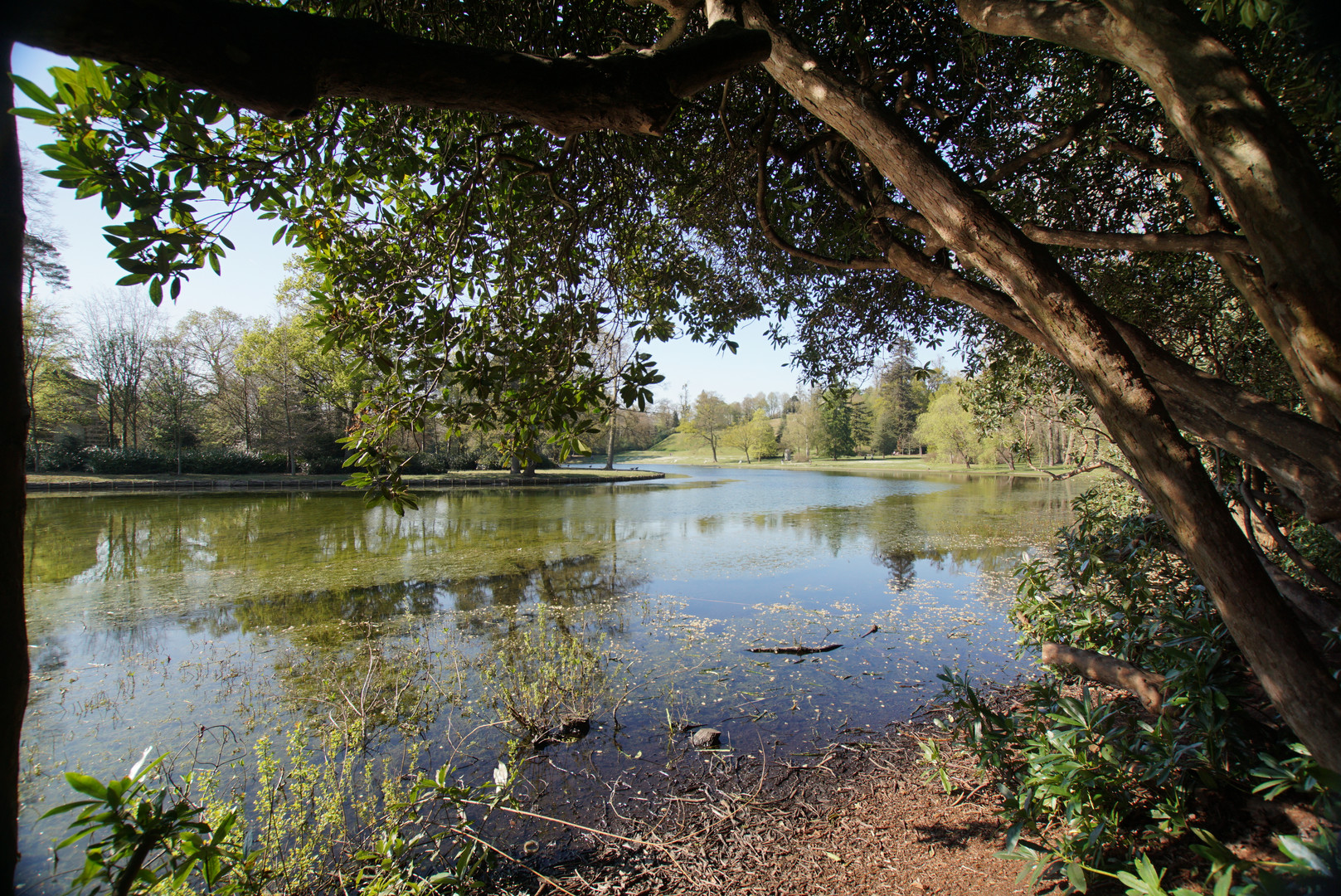 Claremont Garden