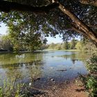 Claremont Garden