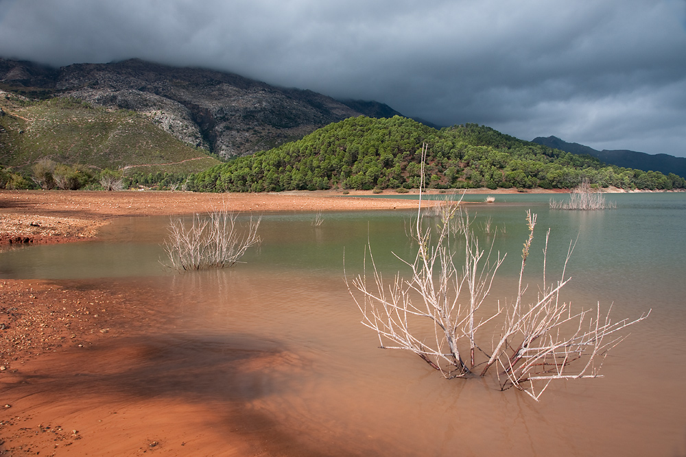 Claros y Nubes