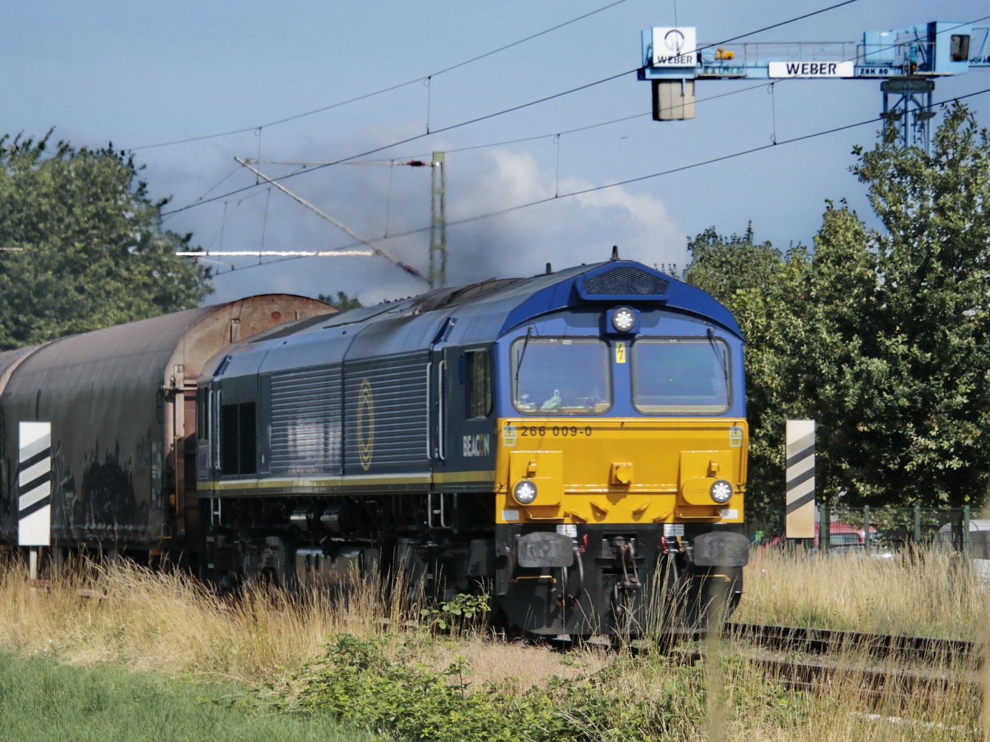 Class 66