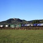 Class 66 Doppel bei Heppenheim/Bergstr.