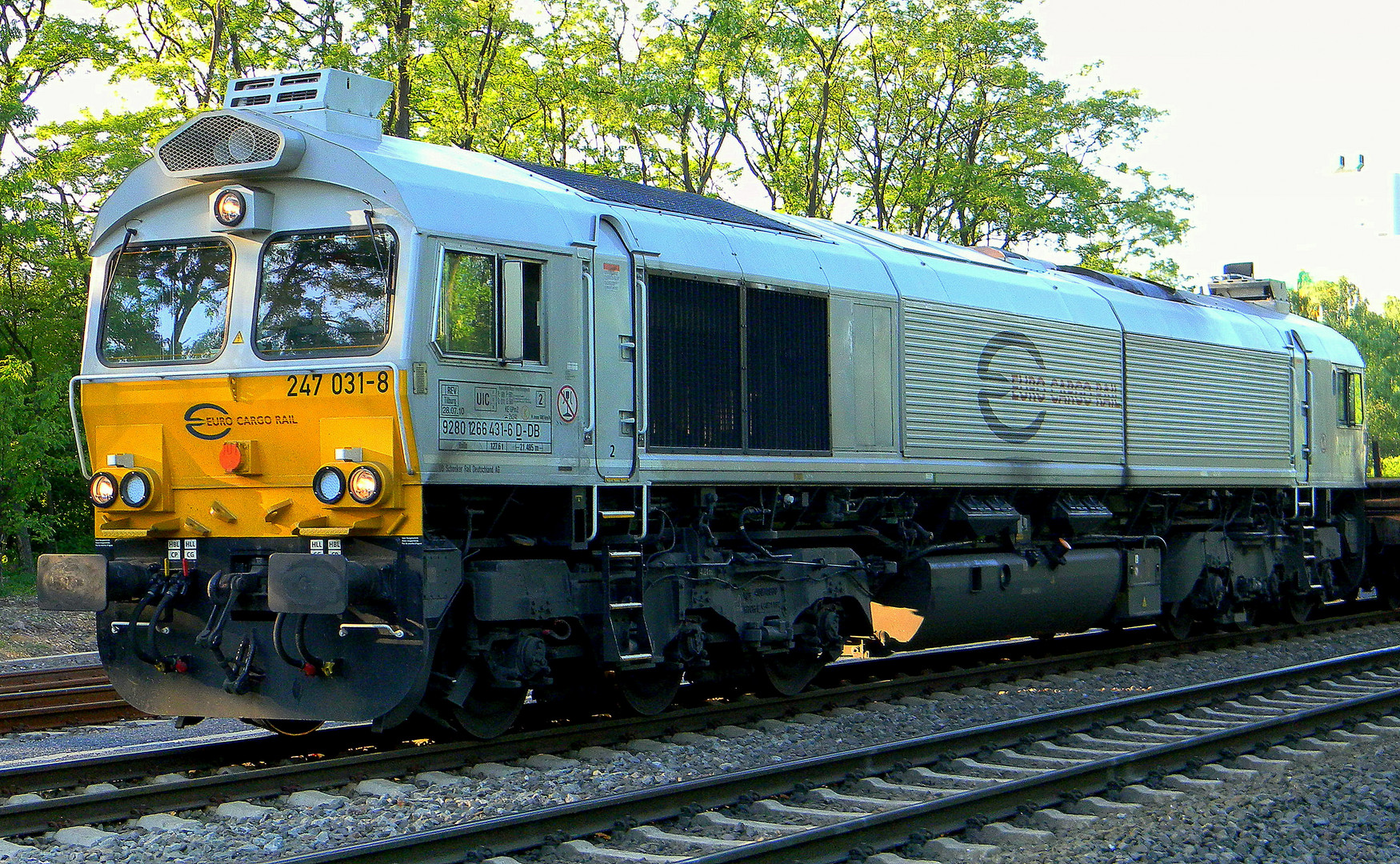 Class 66 ( Euro Cargo Rail )