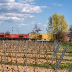 Class 66 im Wingert