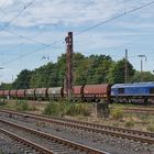 Class 66 in blau