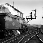 Class Q6 63431 waits for the right of way at South Pelaw.