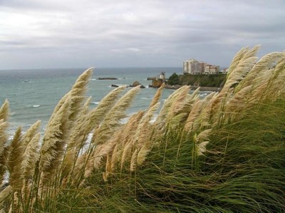 Classic Biarritz. France. 2006.