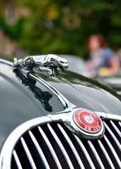 Classic Cars Jaguar XK 150