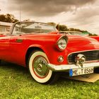 Classic Days2017 Schloss Dyck_42