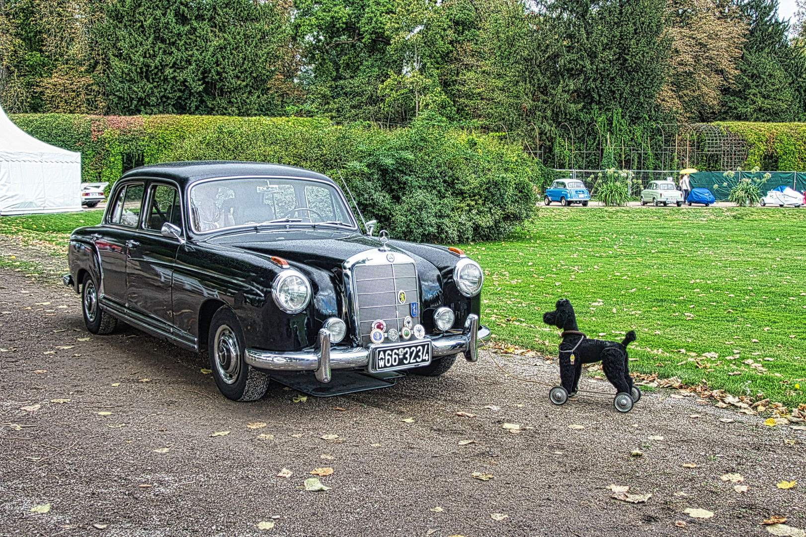 Classic-Gala-Schwetzingen - Mercedes Benz