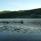 Classic Norwegian boats in Namdal,Norway