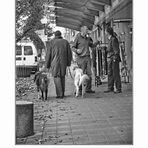 ... classic talking and dog walking on Oostburg's Einkaufstrasse