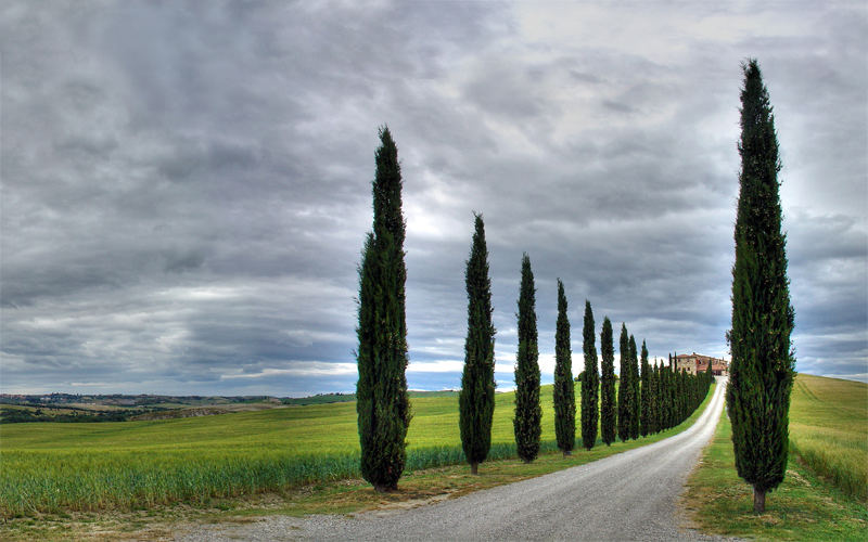 Classic view - S:Quirico d'Orcia, Siena