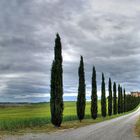 Classic view - S:Quirico d'Orcia, Siena