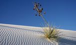 Classic White Sands Photo von Jan Grell