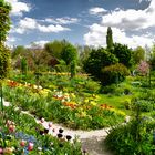 Claude Monet a passé de beaux moments dans ce jardin.