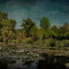 Claude Monet en visite dans le Poitou 