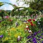 Claude Monet's Garten