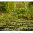Claude Monets Garten in Giverny