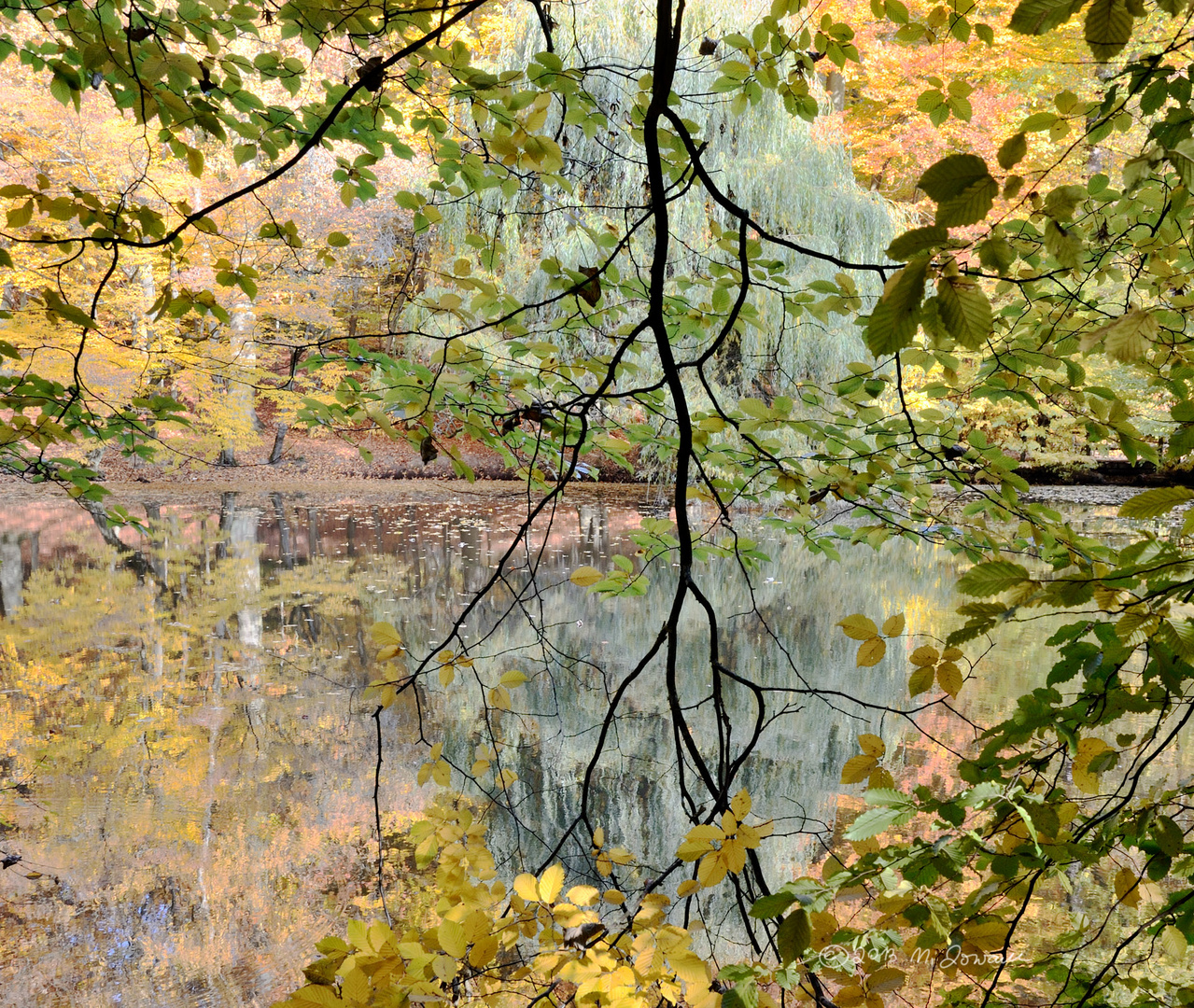 Claude´s Farbenteich