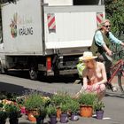 Claudia auf dem Lindener Markt in Hannover beim Blumenhändler - 10