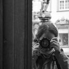 User Profile Photo