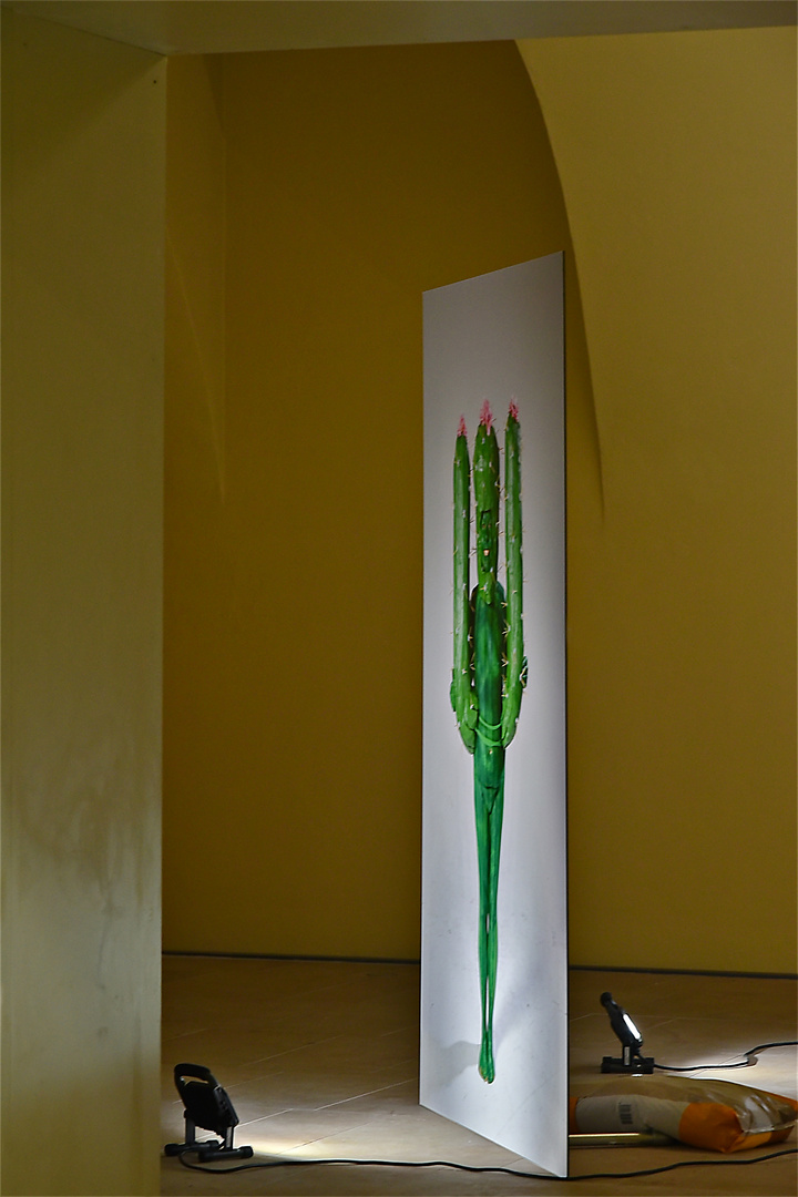 Claudia Holziger: I want to be a Cactus 01