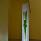 Claudia Holziger: I want to be a Cactus 01