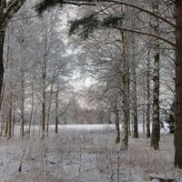 Claudia in Schweden