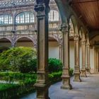 Claustro, anigua Facultad de Farmacia.