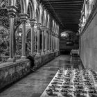 Claustro-BW