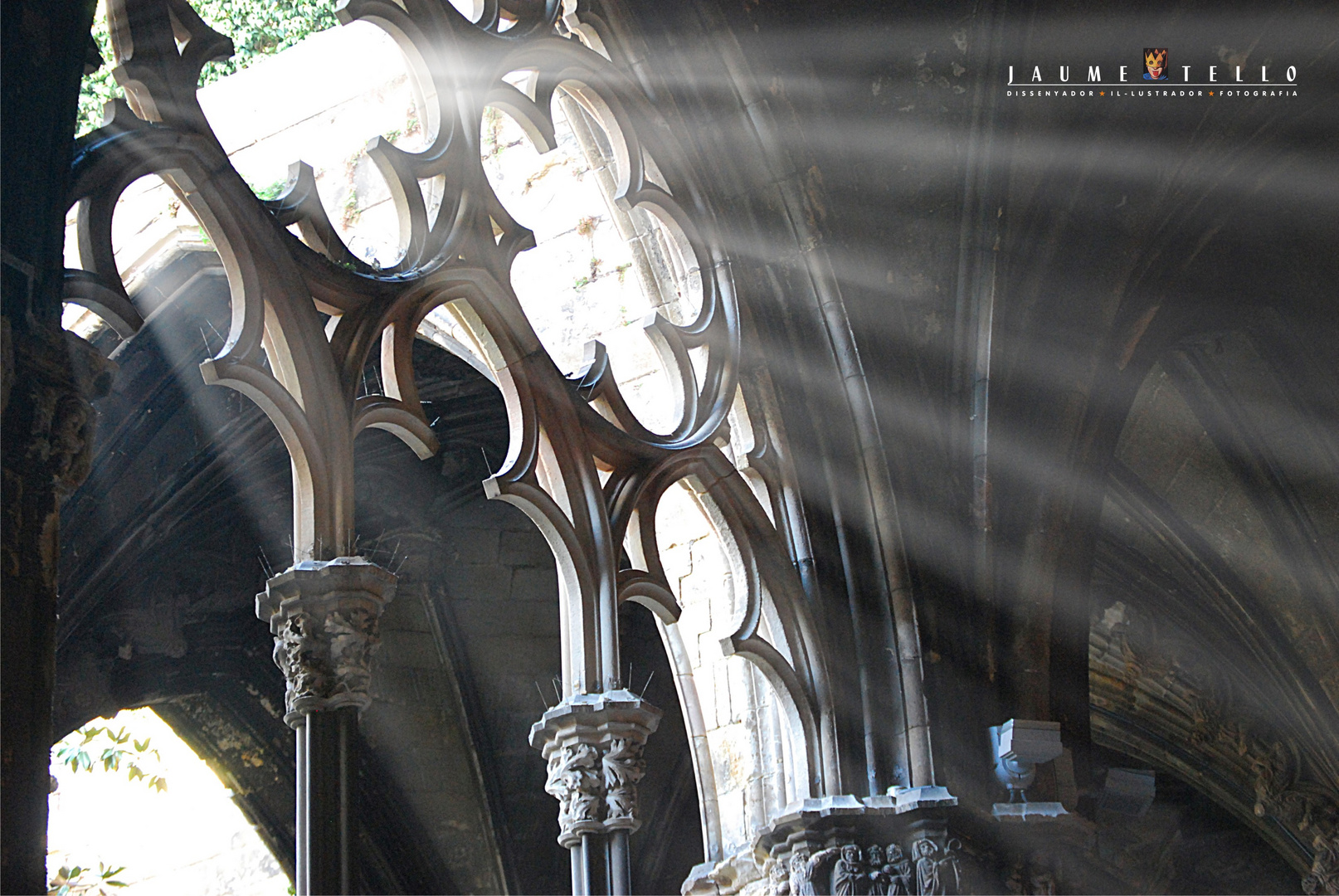 Claustro de la Catedral de Barcelona, Catalunya 2