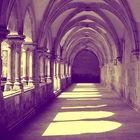 Claustro Dom Afonso V. (Batalha/Portugal)