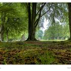 Clava Cairns