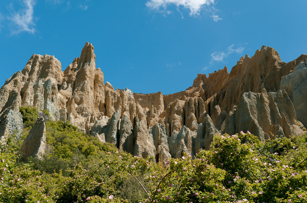 Clay Cliffs