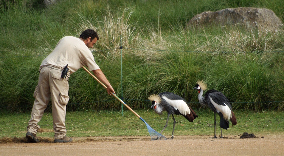 Cleaning in progress