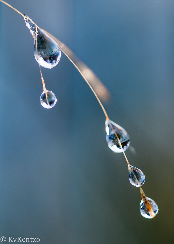 clear drops