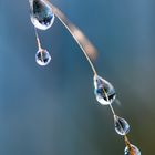 clear drops