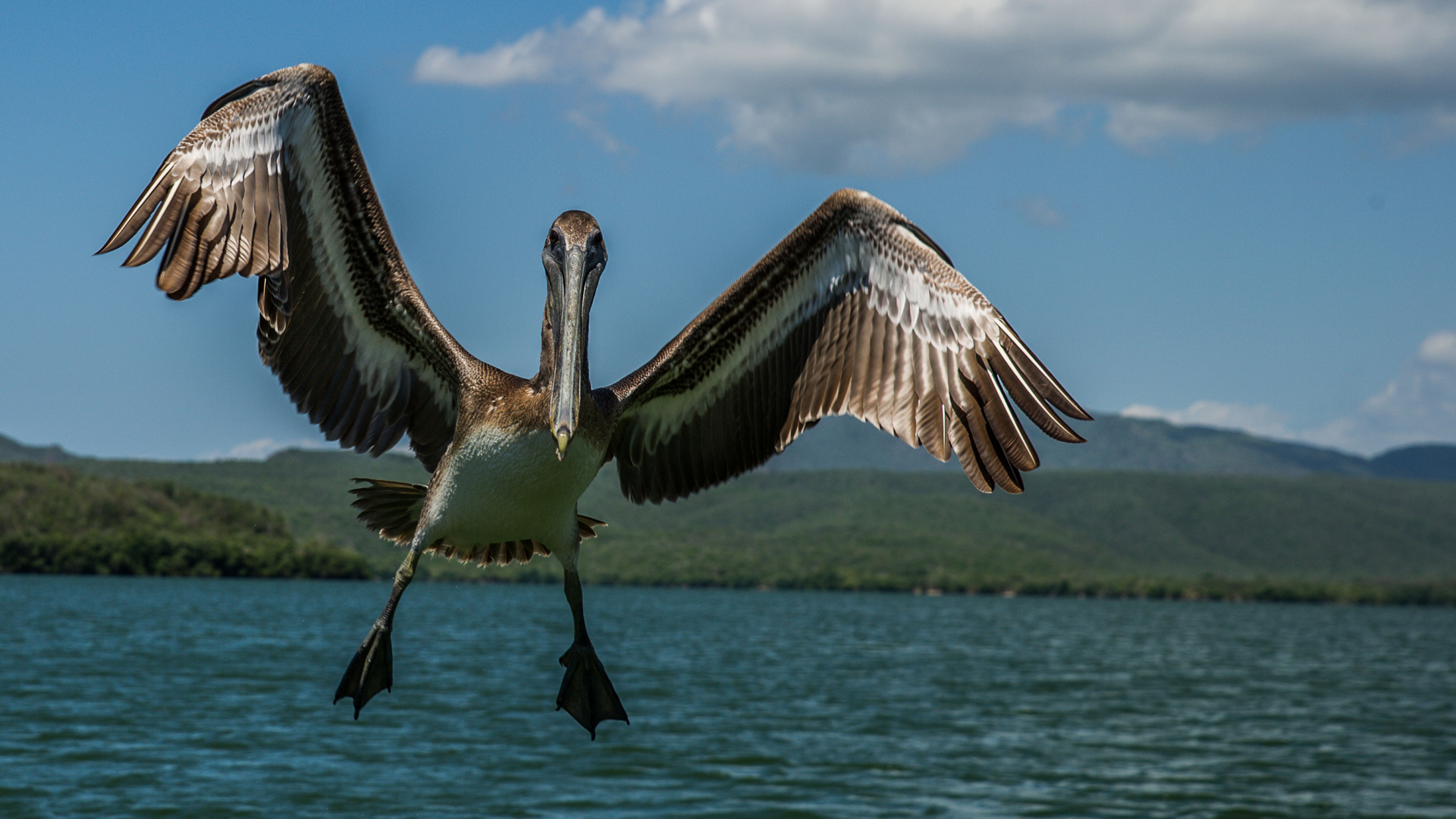 clear to land