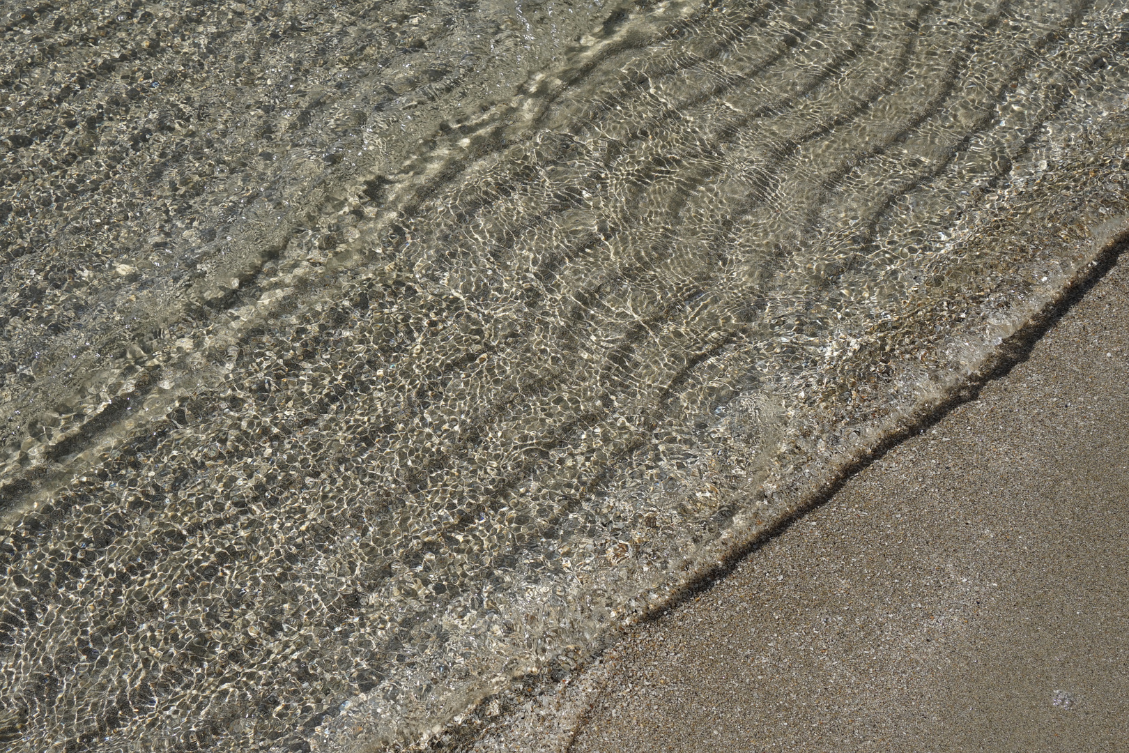 Clear water of the North Sea