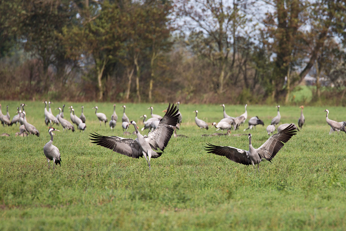 Cleared for landing ;-)