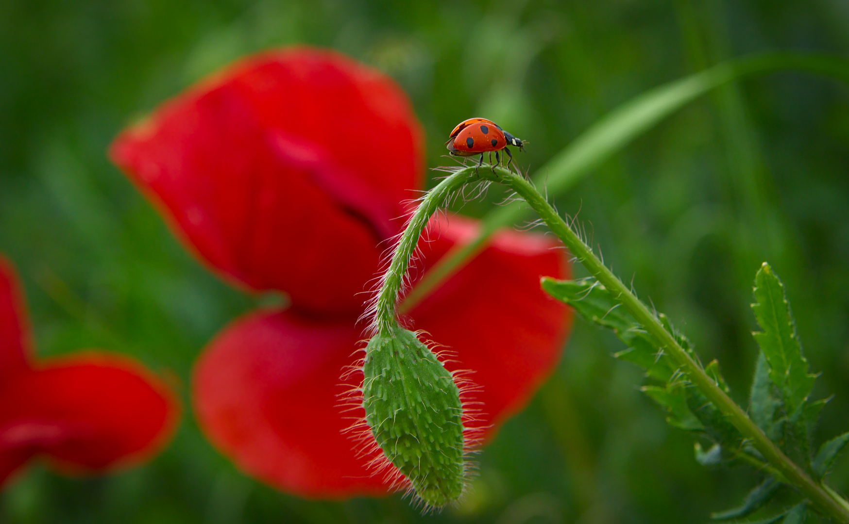 Cleared for take-off ... Kurz vor dem Abflug