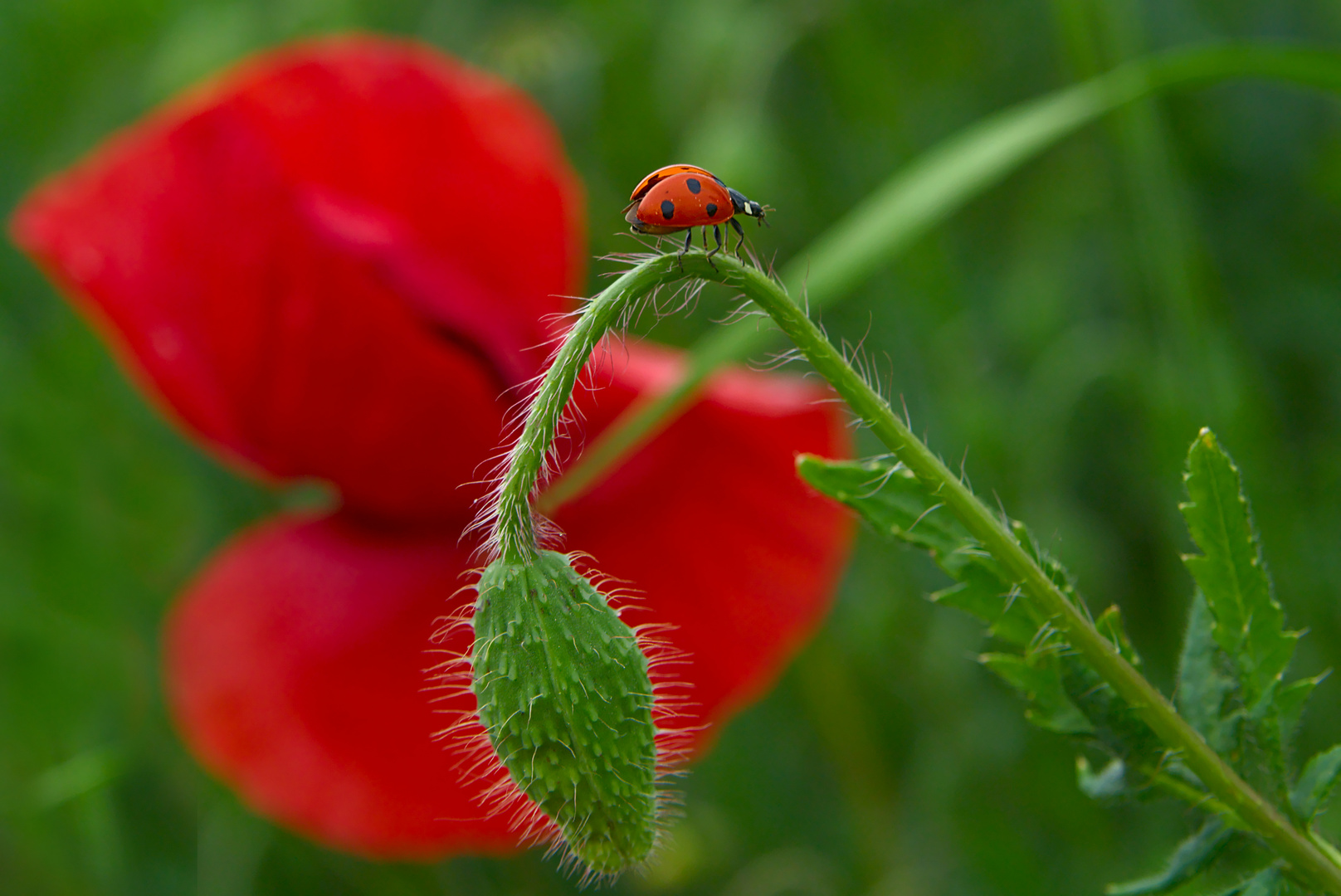 Cleared for take-off ... Kurz vor dem Abflug Ed.2