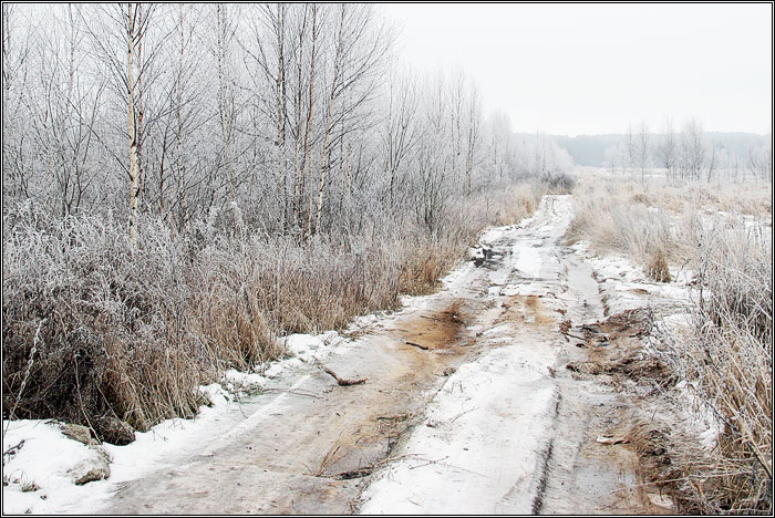 Cleared the cornfield...