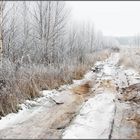 Cleared the cornfield...