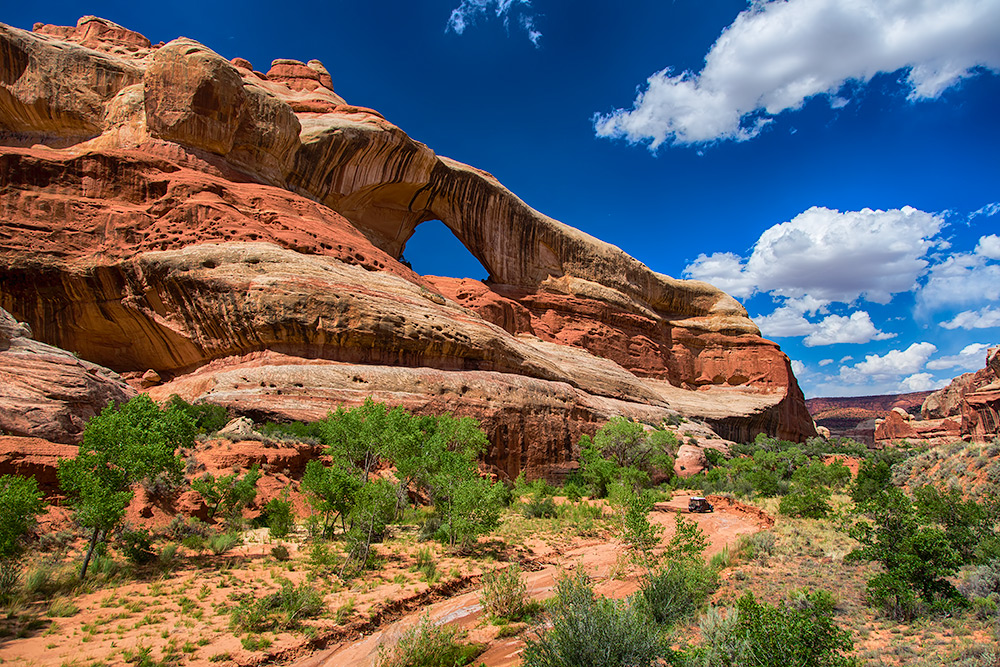 Cleft Arch