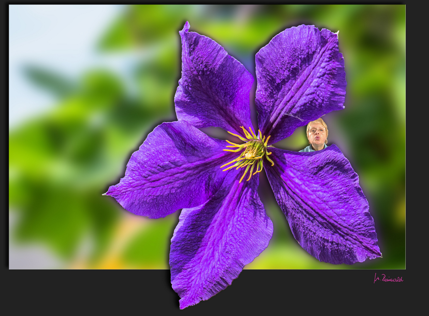 ~~~ Clematis ~~~