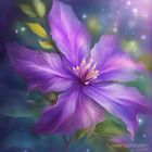 Clematis