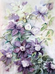 Clematis 